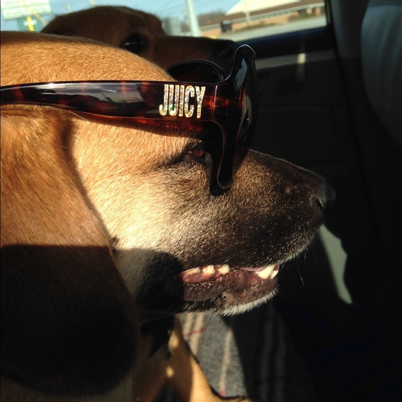 Meet your Posher, Crystal - Picture 3 of 3